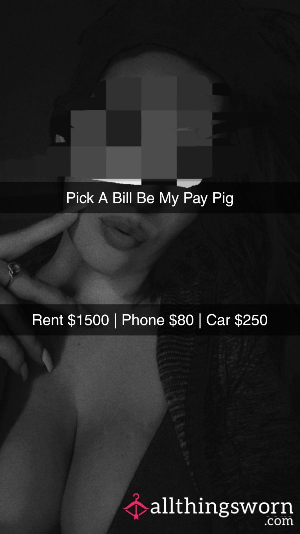 Pay Pig