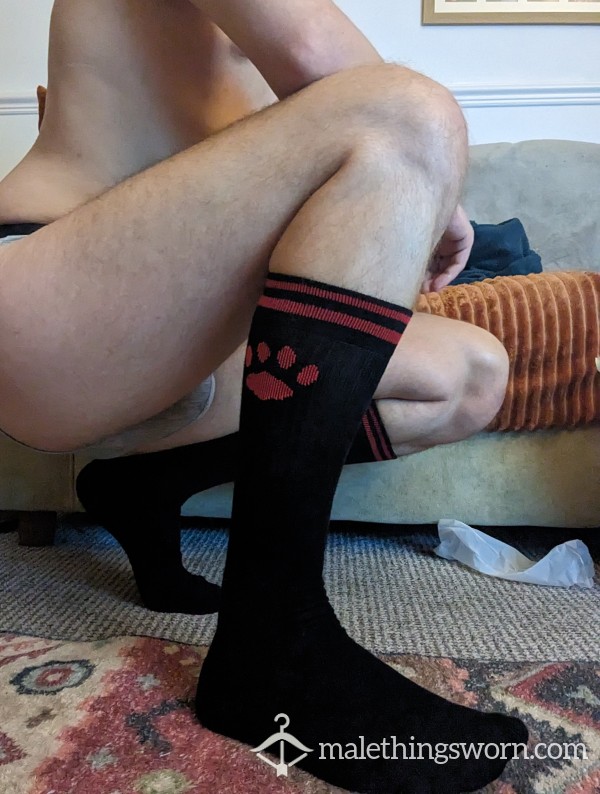 Prowler Pup Socks