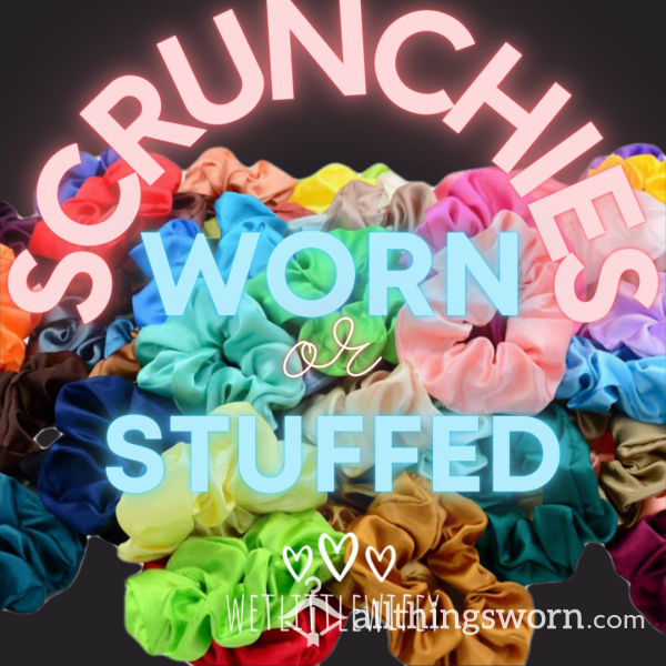 Satin Scrunchies - Stuffed Or Worn