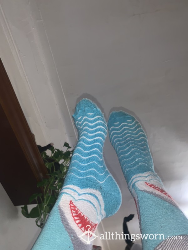 Shark Socks