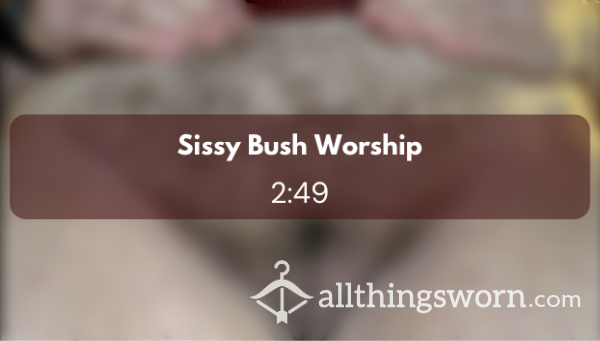 Sissy Bush Worship - 045