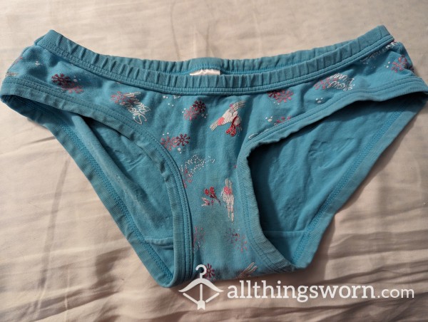 Snow Bunny Panties. Very Used, Stained