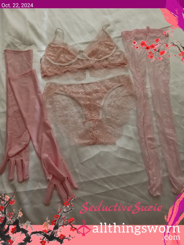 Soft & Shimmery Pink Lingerie Set Fantasy Set