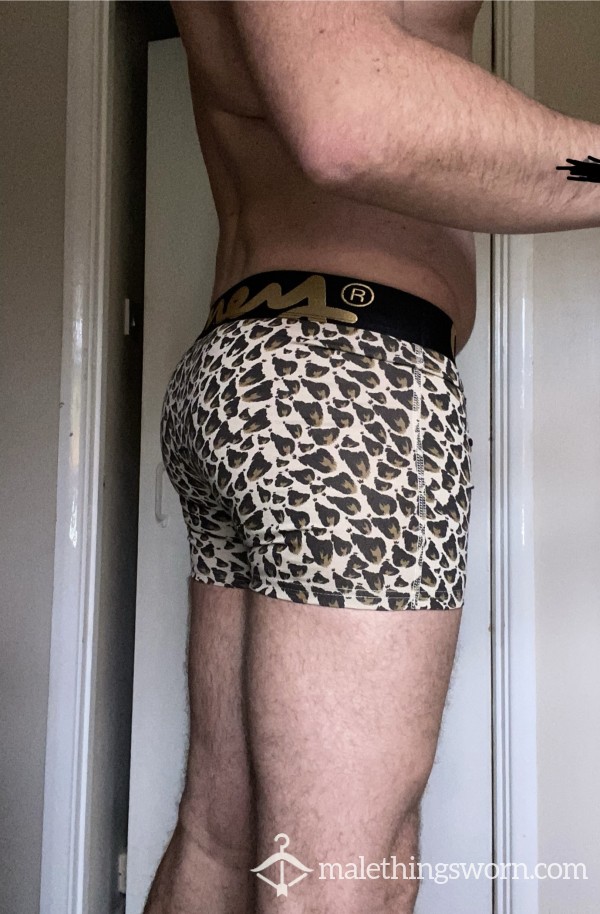 Spicy Animal Print Boxers L