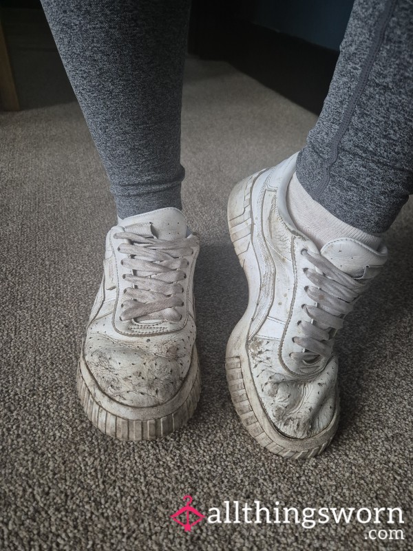 Stinky Old Puma's