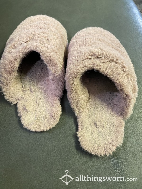 Stinky Old Slippers