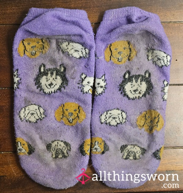 Stinky Puppy Dog Socks