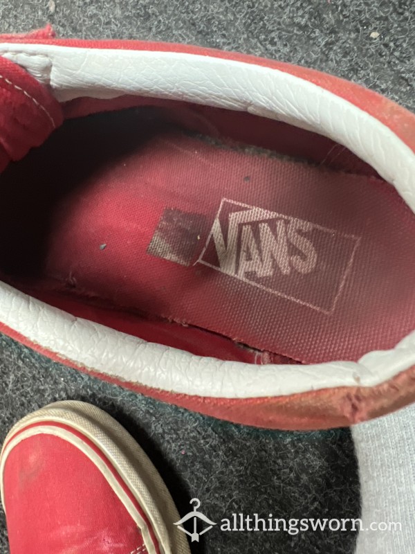 Stinky Vans