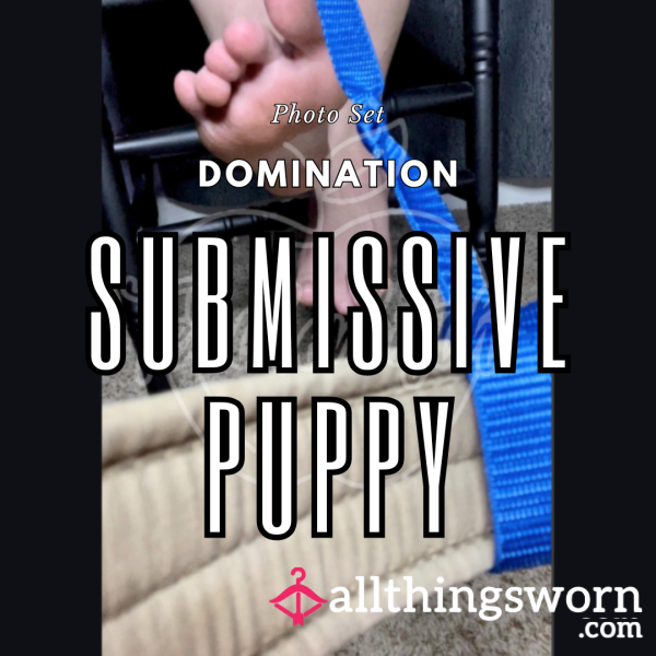 Submissive Puppy Photo Set