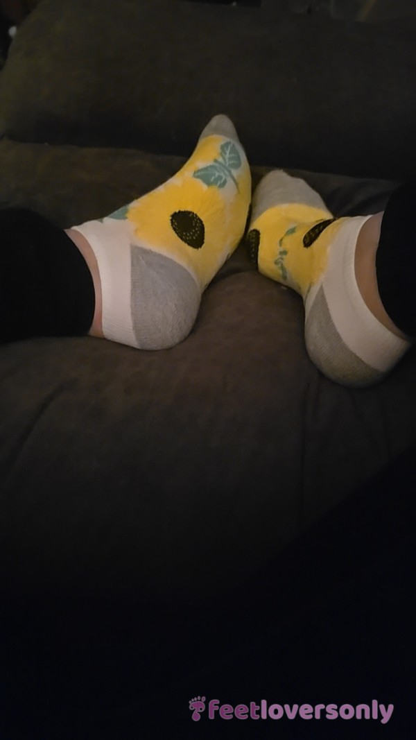 Sunflower Socks