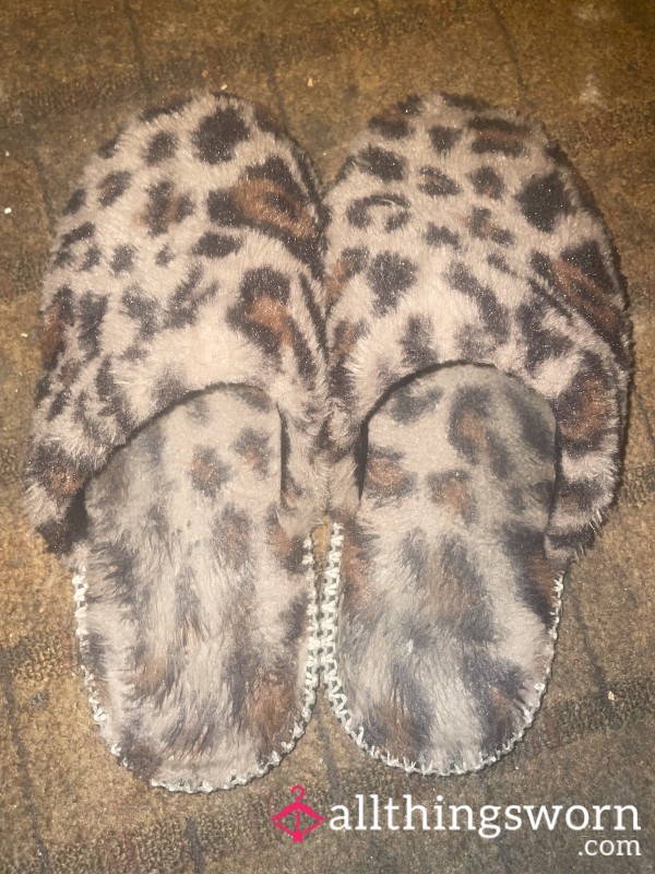 SUPER Well Worn Slippers