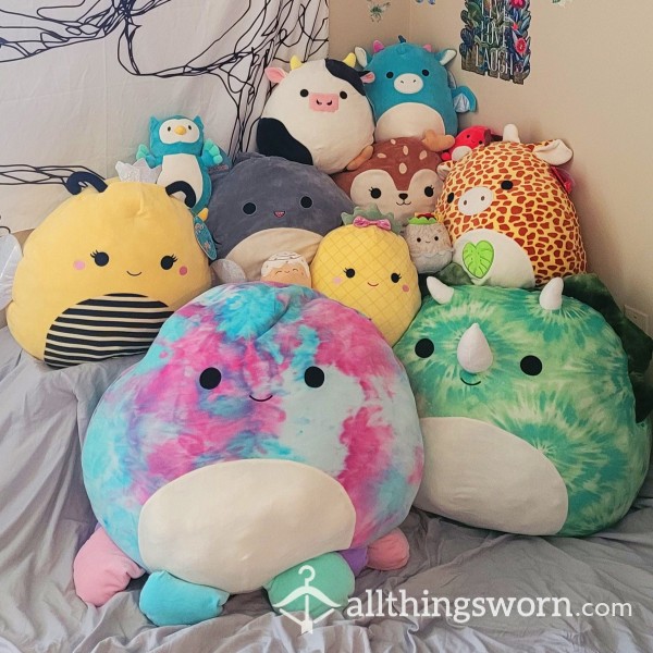 Support My Squishmallow Addiction