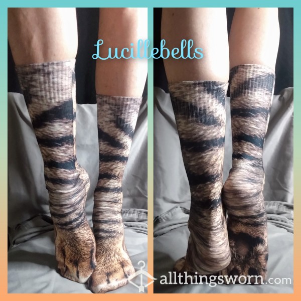 Tabby Cat Novelty Socks