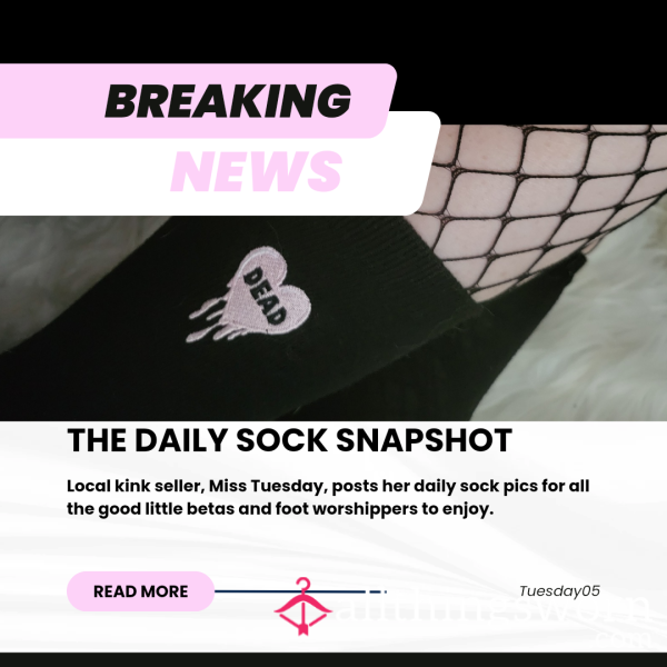 The Daily Sock Snapshot