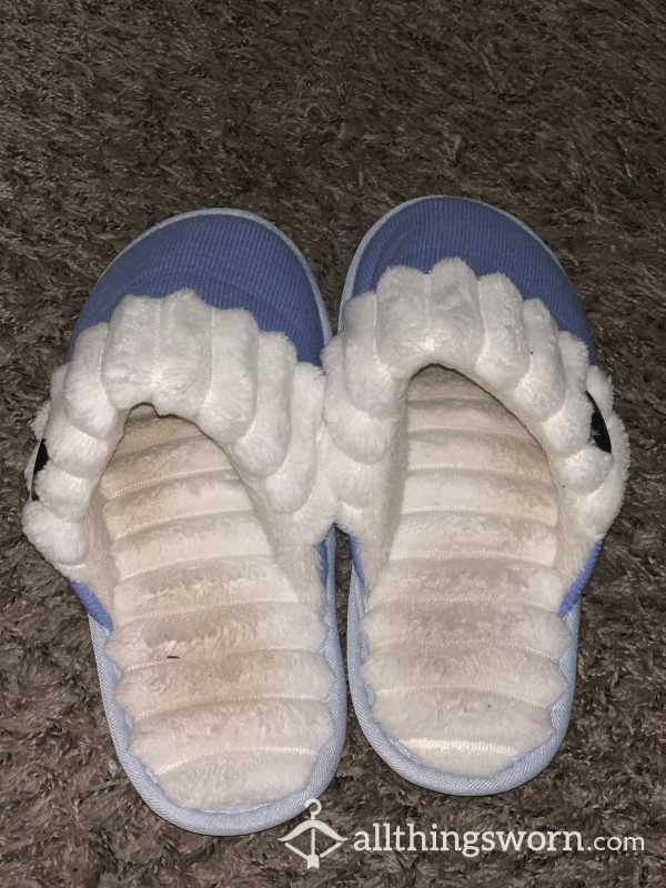 Stinky Slippers