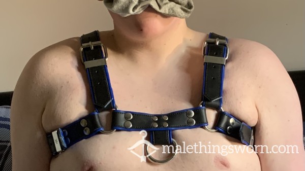 Used Harness