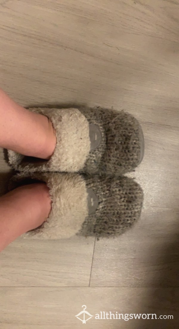 Very Well Worn Slippers