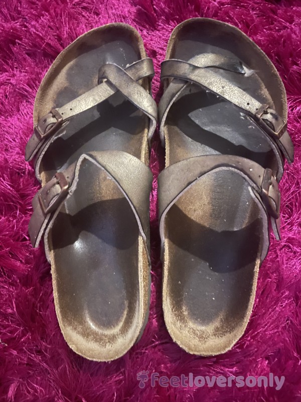 Well Travelled Birkenstocks