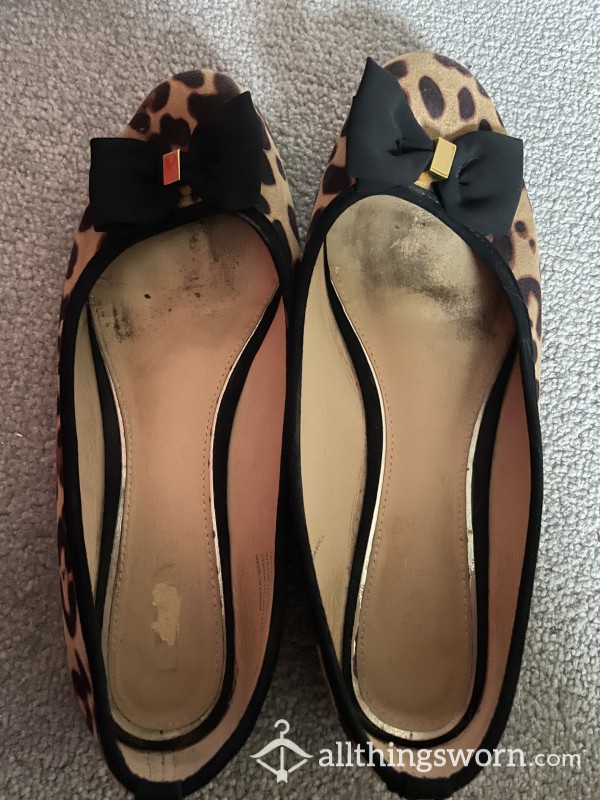 Well Worn Ballet Flats