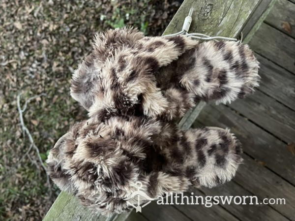 Well-Worn Cheetah Slippers