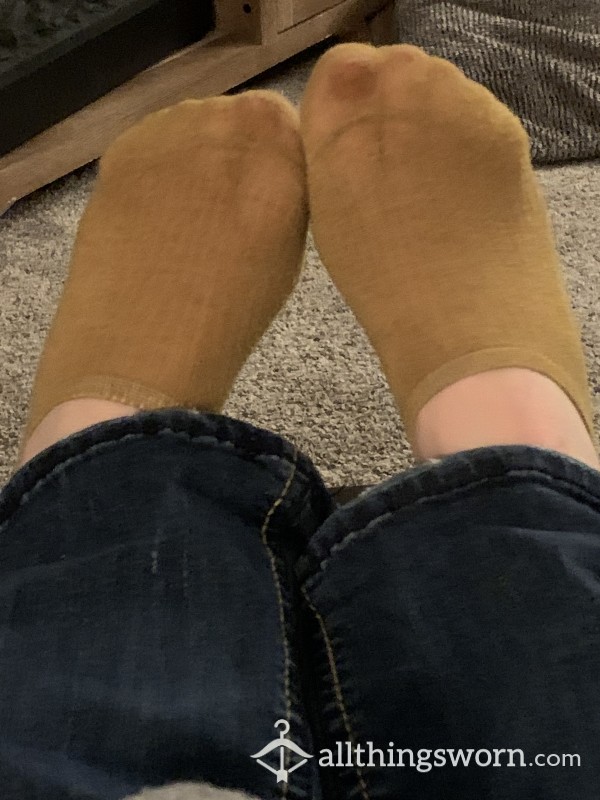 Well Worn Everyday No Show Socks