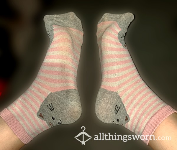 Well Worn Kitty Socks