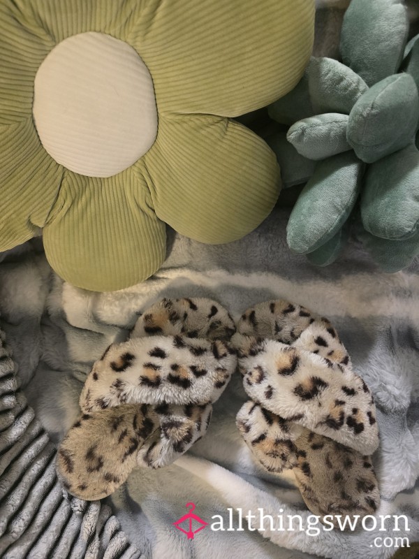 Well-worn Leopard Print Slippers