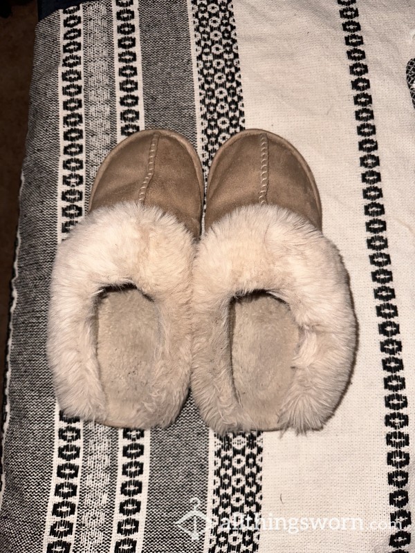 Well-worn Slippers