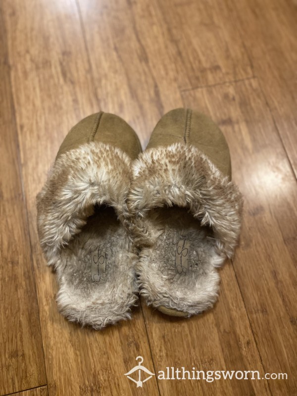 Well Worn Slippers