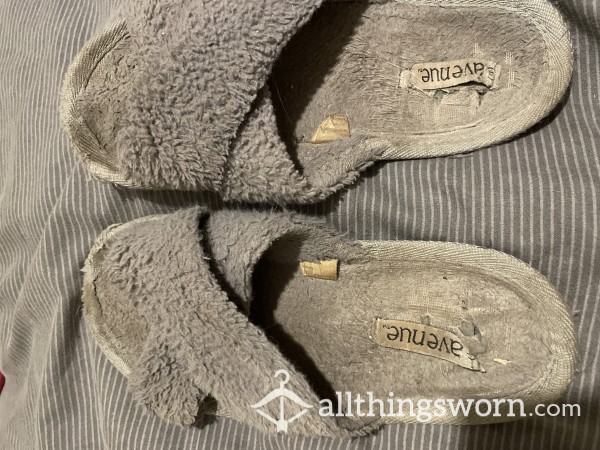 Well Worn Slippers