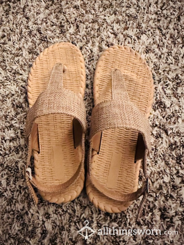 Well Worn Slippers