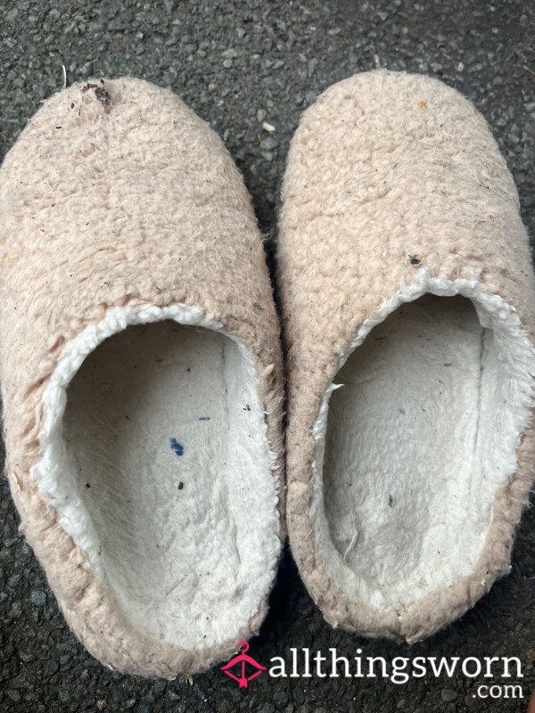 Well Worn Slippers