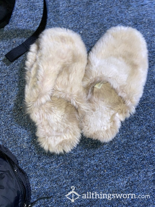 Well Worn Slippers