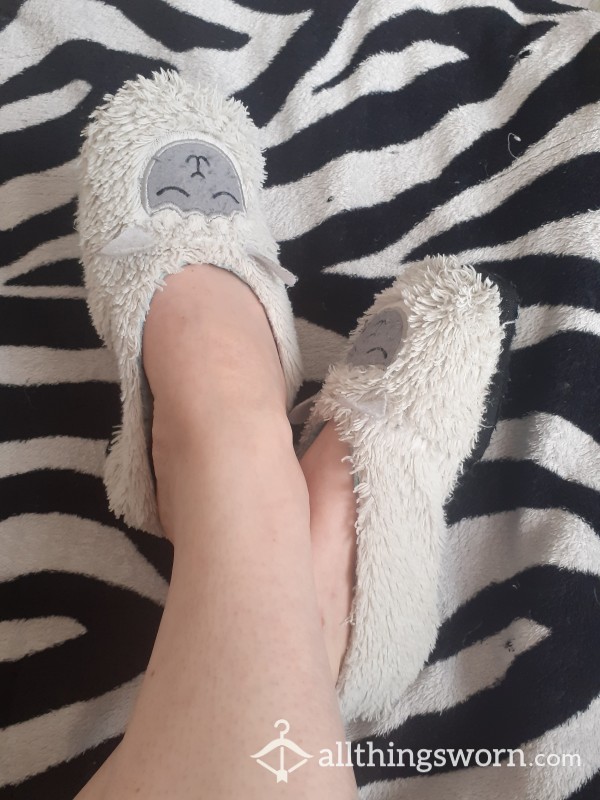 Well Worn Sweaty Slippers