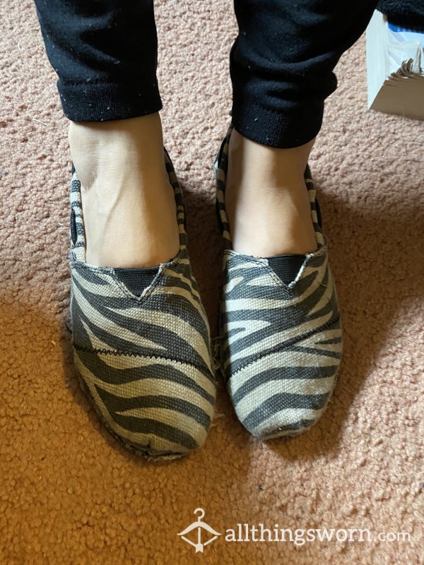 Well Worn Zebra Print Bobs Flats