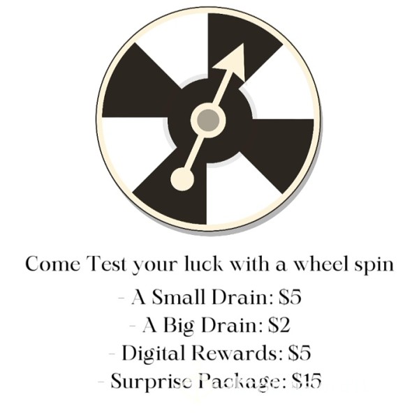 Wheel Spins