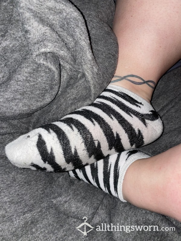 Zebra Socks