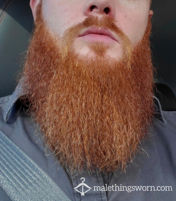 Gngrbeard