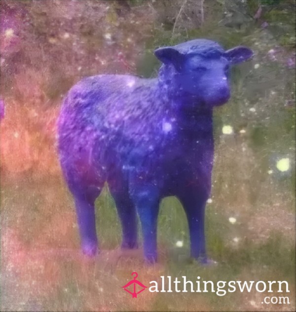 BlueSheep