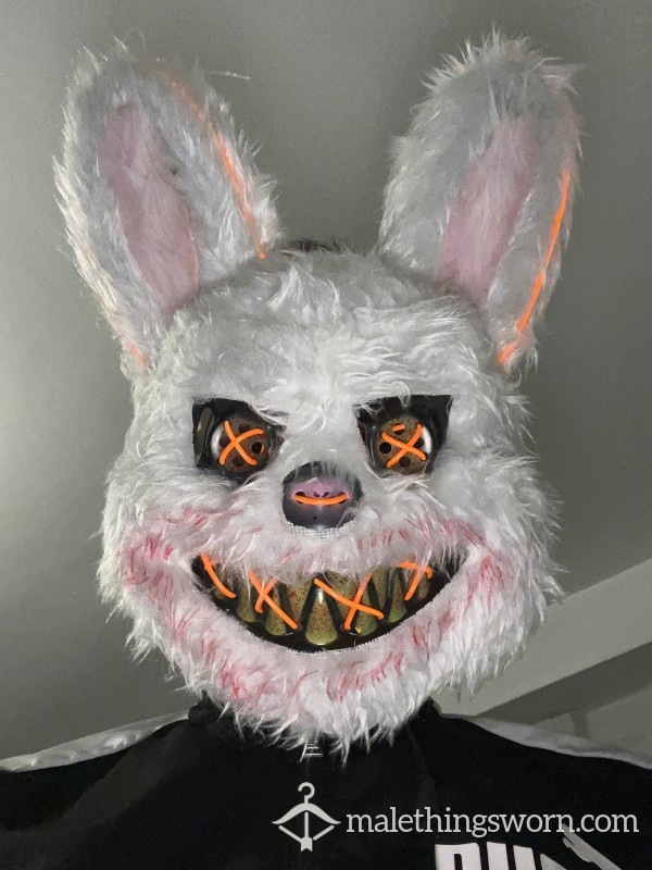 TheMaskedBunny